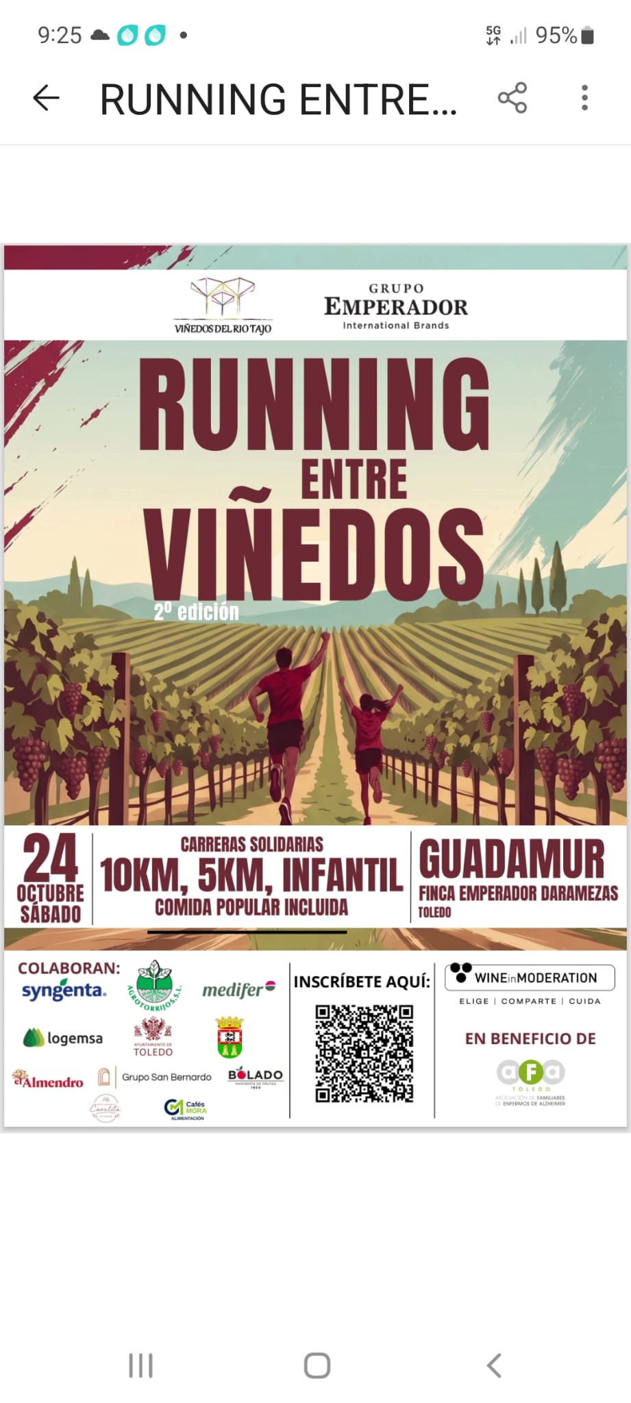 Viñedos del Rio Tajo